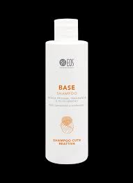Base Shampoo