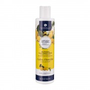 bio-shampoo-cedro-e-finocchio-alkemilla