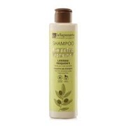 shampoo v